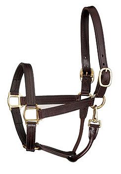 Perri's Leather Collection Premium Track Style with Snap Leather Show Halter