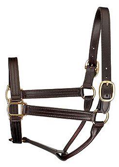 Perri's Leather Collection Premium Track Style Leather Show Halter