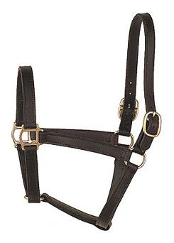 Perri's Leather Collection Track Style Leather Turnout Halter