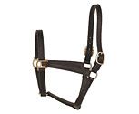Perri's Leather Collection Track Style Leather Turnout Halter