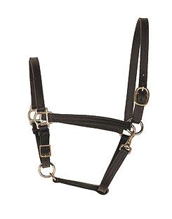 Perri's Leather Collection Leather Turnout Halter