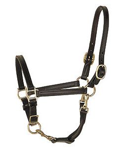 Perri's Leather Collection Convertible Grooming Halter