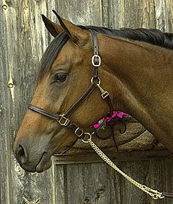 Perri's Leather Collection Premium Leather Show Halter