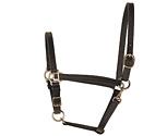 Perri's Leather Collection 3/4 in. Leather Turnout Halter
