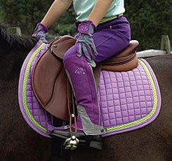Perri's Ribbon Saddle Pad