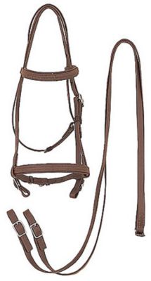 Perri's Leather Draft Horse Bridle