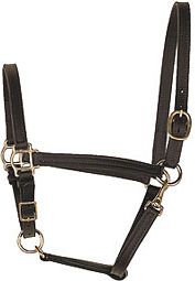  Perris Leather Turnout Halter with Adjustable Crown