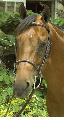 Perri's Leather Collection Havana Fancy Stitched Bridle