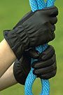 Perri's Leather Black Leather Glove with Spandex