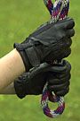 Perri's Leather Glove w/Velcro Closure					
				