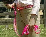 Perri's Leather Collection Ribbon Nylon Lead with Chain
