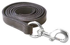 Perri's Leather Leather Lead with Silver Snap
