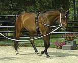 Perri's Leather Collection Neoprene Training Surcingle