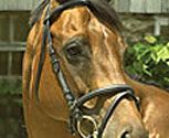 Perri's Leather Collection Black Padded Bridle with Flash