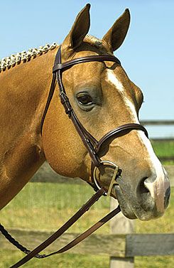 Perri's Leather Collection Raised Snaffle Bridle