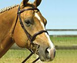 Perri's Leather Collection Raised Snaffle Bridle