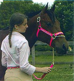 Perri's Leather Collection Ribbon Nylon Safety Halter