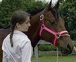 Perri's Leather Collection Ribbon Nylon Safety Halter
