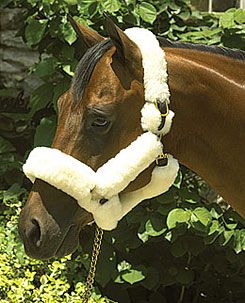 Perri's Leather Collection Sheepskin Shipping Halter