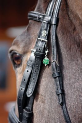 Perri's EquiCharm