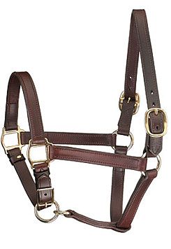Perri's Leather Track Style Turnout Halter