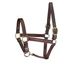 Perri's Leather Track Style Turnout Halter