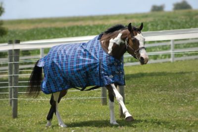 Perri's 1200 D Waterproof Lightweight Turnout Horse Blanket with Tote