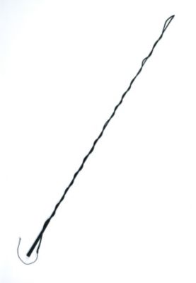 Perri's Lunge Whip