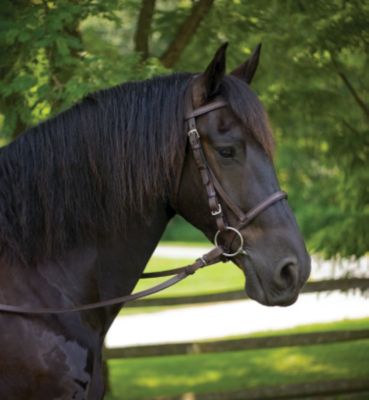 Perri's American Made Leather Bridle