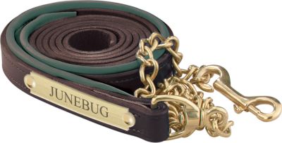 Perri's Soft Padded Leather Lead with Custom Nameplate