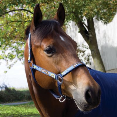 Perri's Padded Nylon Halter