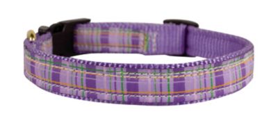 Perris Nylon Ribbon Dog Collars Best Price