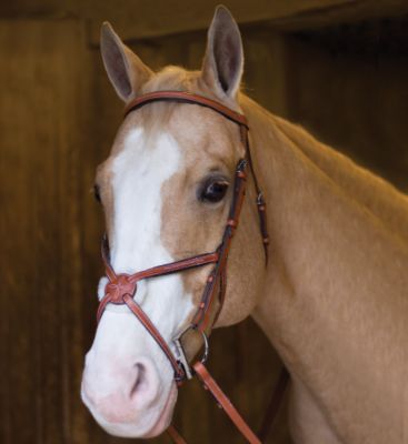 Perris Professional Line Figure 8 Bridle