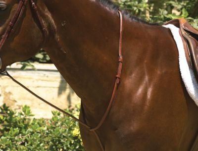Perri's Professional Raised Standing Martingale
