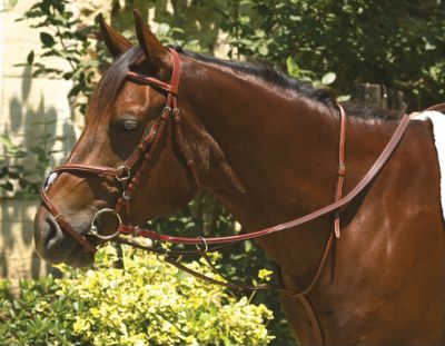 Perri's Professional Raised Running Martingale (PE00624)