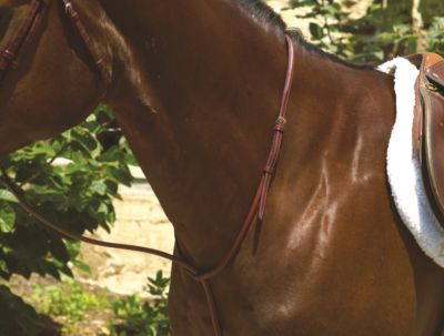 Perri's Professional  Plain Raised Standing Martingale (PE00625)