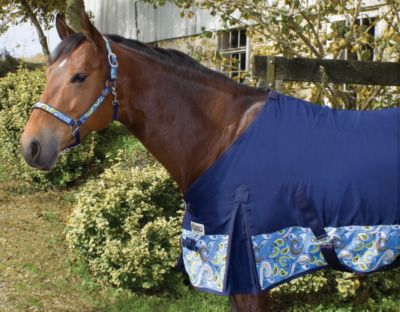 Perri's Paisley Dress Sheet