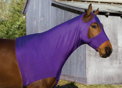 Perri's Lycra Mane Hood