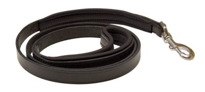 Perri's Padded Leather Dog Leash Best Price