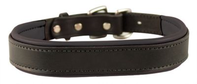 Perri's Padded Leather Dog Collar Best Price