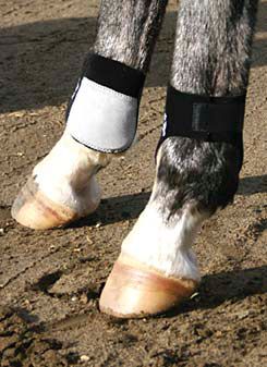 Professional's Choice Rear Ankle Boots
