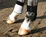 Professional's Choice Rear Ankle Boots