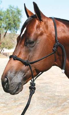 Professional's Choice Clinician Halter