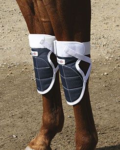 Professional's Choice Norfields Magnetic Knee Wrap
