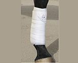 The Professional's Choice Combo Bandage