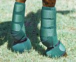 Professional's Choice SMB Combo Boot