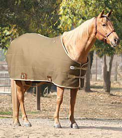 Professional's Choice Canvas Duck Horse Blanket