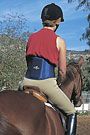 Professional's Choice Comfort Fit Low Back Support - XX Large