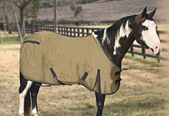 Professional's Choice Wrangler Horse Day Sheet