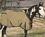 Professional's Choice Wrangler Horse Day Sheet